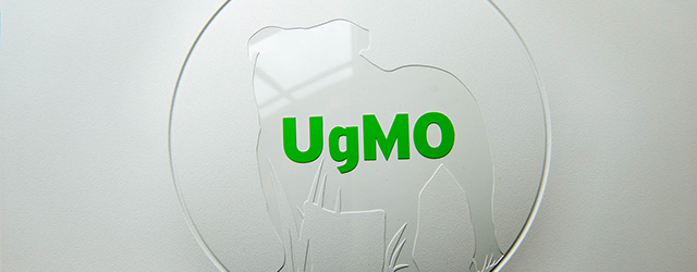 ugmo