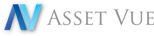 Asset VUE