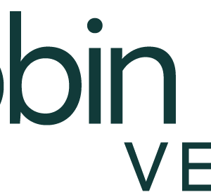 Robin Hood Ventures
